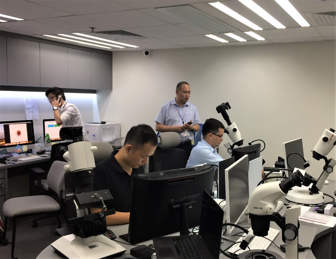 Guild Gem Labs Hong Kong